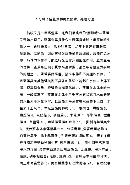 1分钟了解蓝藻种类及预防处理方法