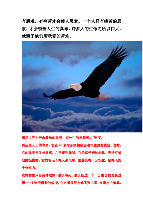 使我苦难者,必使我强大