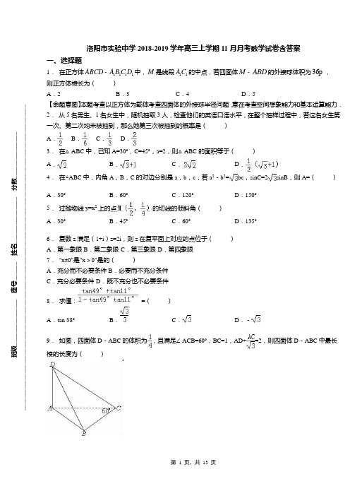洛阳市实验中学2018-2019学年高三上学期11月月考数学试卷含答案