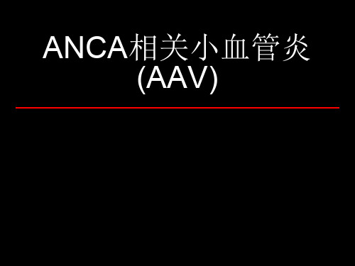 ANCA相关小血管炎PPT课件