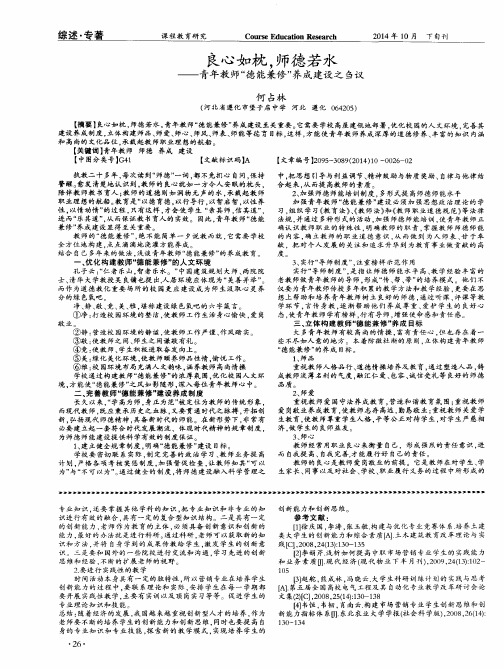 良心如枕,师德若水——青年教师“德能兼修”养成建设之刍议