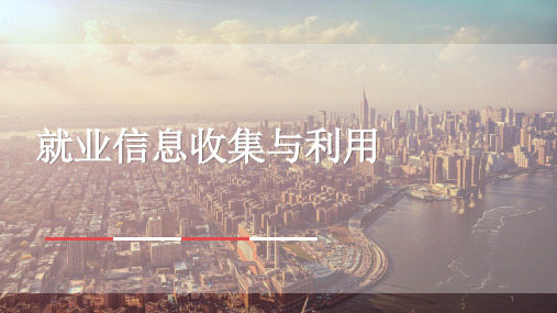 就业信息收集与利用ppt课件