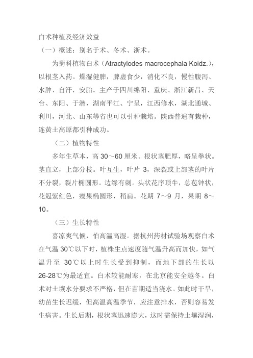白术种植及经济效益