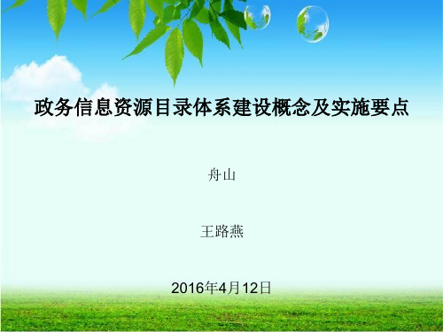 政务信息资源目录体系建设概念和实施要点