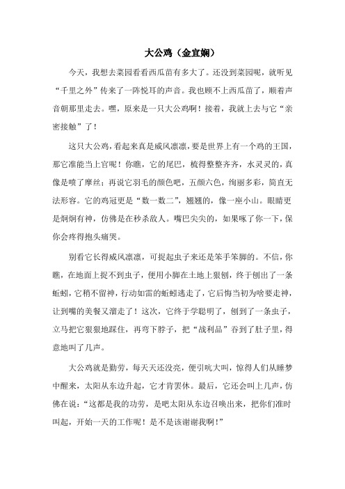 大公鸡 (金宜娴) 新起点作文
