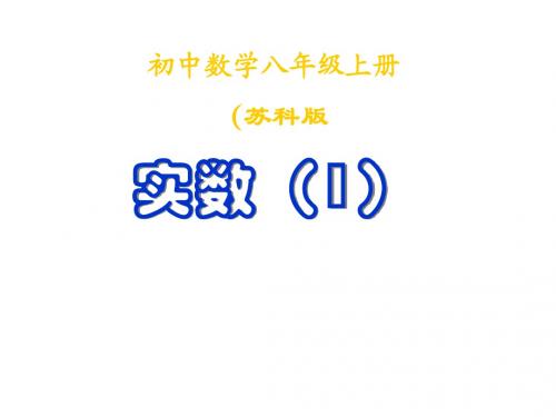 实数1