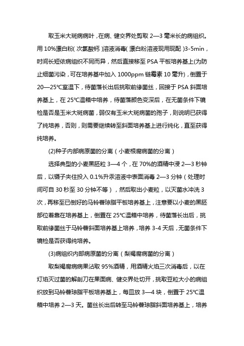 植物病原菌的分离和培养