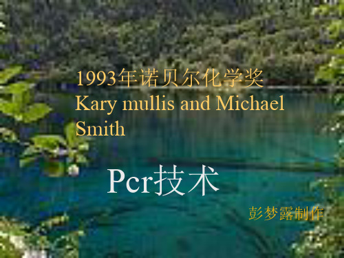 1993年诺贝尔化学奖
