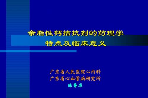 拉西地平深圳2006