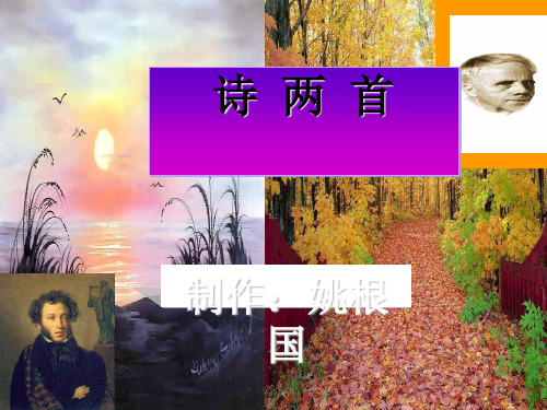 诗两首·假如生活欺骗了你·未选择的路PPT11 人教版