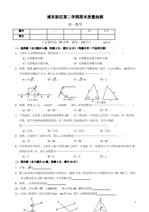 上海市浦东新区七年级下期末数学试题有答案