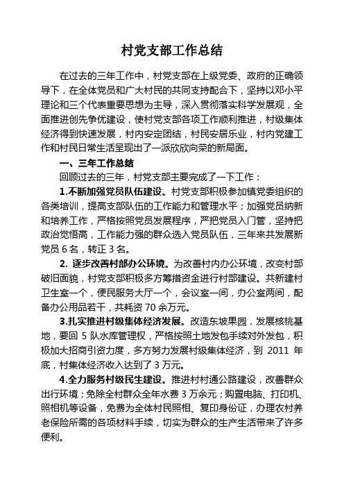 村党支部工作总结