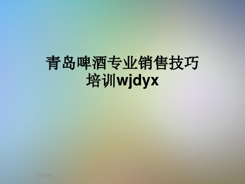 青岛啤酒专业销售技巧培训wjdyx