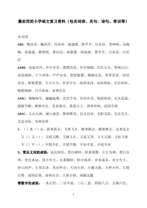 最实用的小学语文复习资料