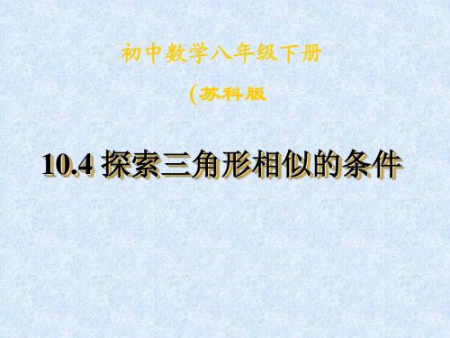 八下第十章课件 (2)