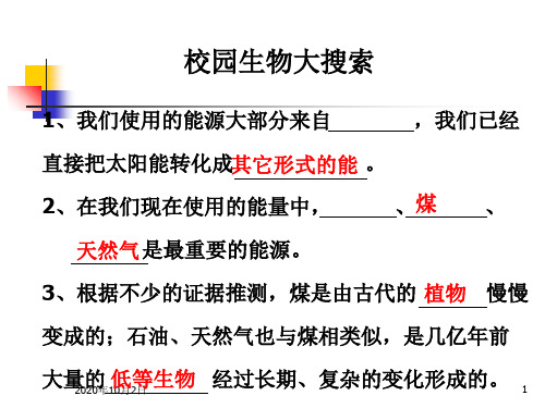 《能量与太阳》教科版小学科学六年级上册第三单元PPT课件