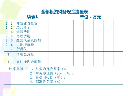 房地产投资项目财务评价报表精编版