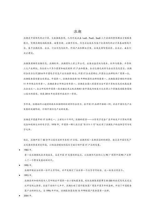 浪潮