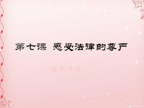 法不可违ppt优秀课件 人教版