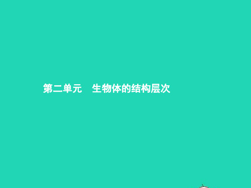 中考生物第二单元生物体的结构层次第3讲细胞是生命活动的基本单位课件
