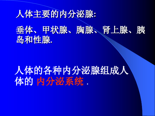 初中生物课件 人体主要的内分泌腺