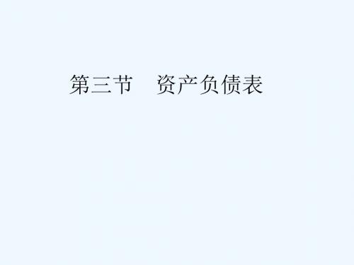第三节资产负债表