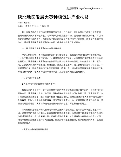 陕北地区发展大枣种植促进产业扶贫