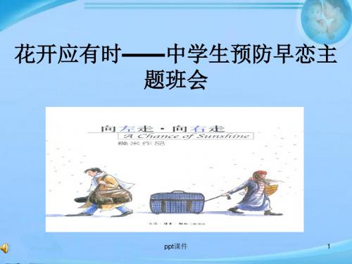 预防早恋主题班会  ppt课件