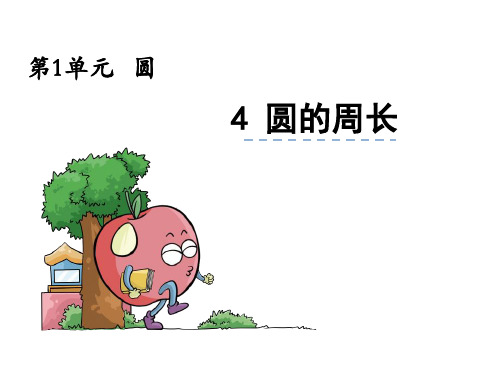 六年级上册数学课件1.4圆的周长 北师大版(秋) (共8张PPT)