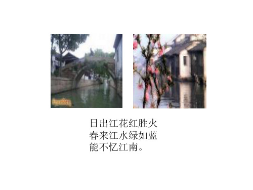 家里的灶头课件