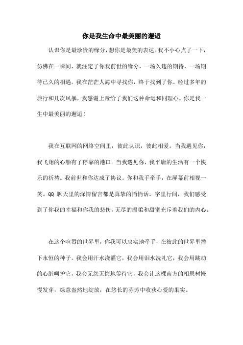 你是我生命中最美丽的邂逅
