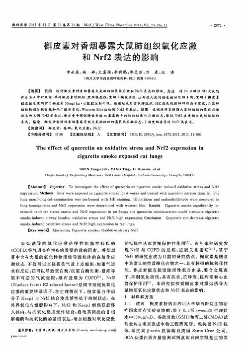 槲皮素对香烟暴露大鼠肺组织氧化应激和Nrf2表达的影响