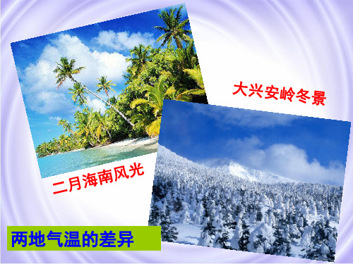 鲁教版高中地理必修一第二单元单元活动《分析判断气候类型》优质课件(共49张PPT)