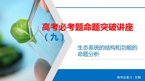 2020高考生物必考题命题突破 生态系统的结构和功能的命题分析(共32张PPT)