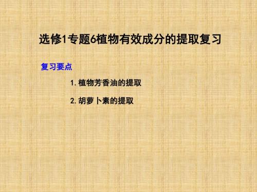 高中生物专题6植物有效成分的提取复习名师精编课件新人教版选修