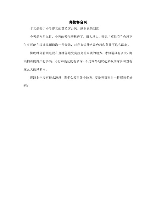 莫拉客台风_小学作文