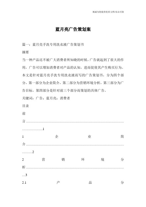 蓝月亮广告策划案