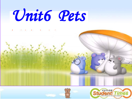 Unit_6__Pets--Grammar