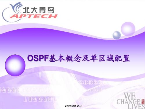 OSPF基本概念及单区域配置