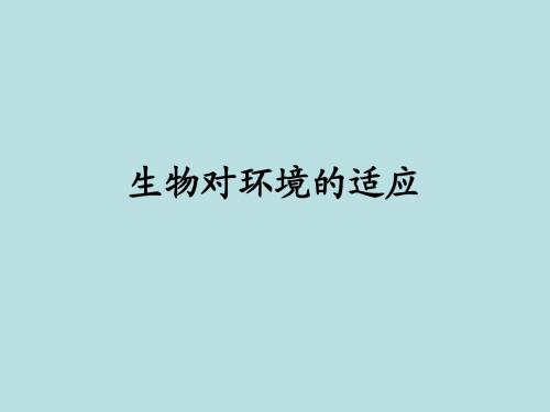 生物对环境的适应和影响