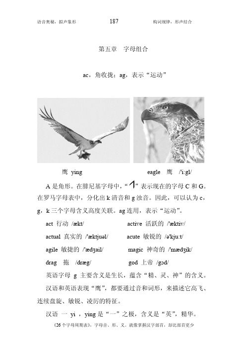 英语26个字母周期表(第 5 章,字母组合)