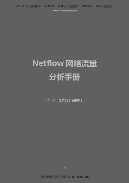 Netflow网络流量分析手册