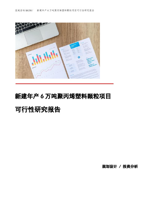 (模板)新建年产6万吨聚丙烯塑料颗粒项目可行性研究报告