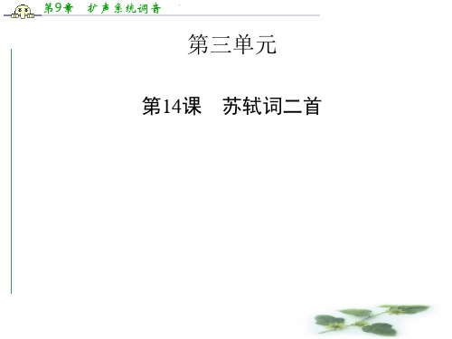 高中语文配套课件(粤教选修 唐诗宋词元散曲选读) 第14课 苏轼词二首