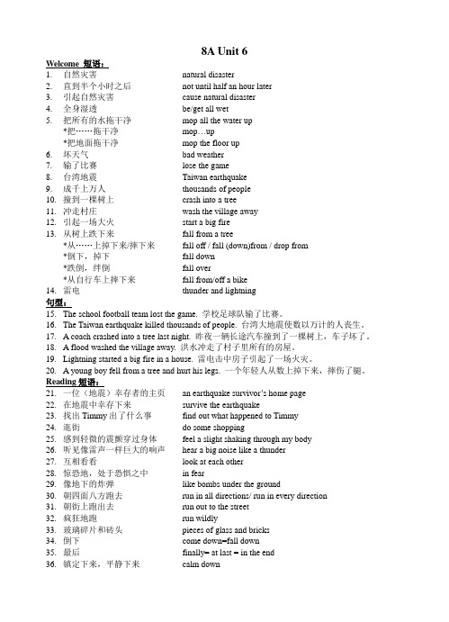 8A Unit 6短语