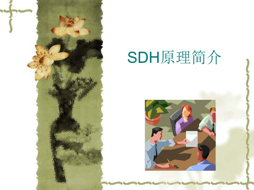 SDH培训内部资料(详尽100