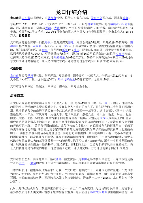 龙口情况详细介绍