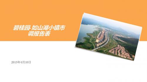 2015年4月10日马鞍山市和县碧桂园-如山湖小镇市调报告表全
