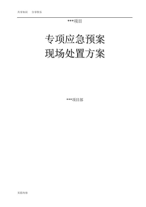 专项应急预案和现场处置方案