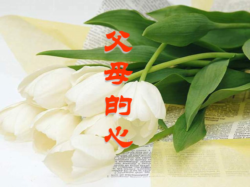 七年级语文父母的心(2019年11月)